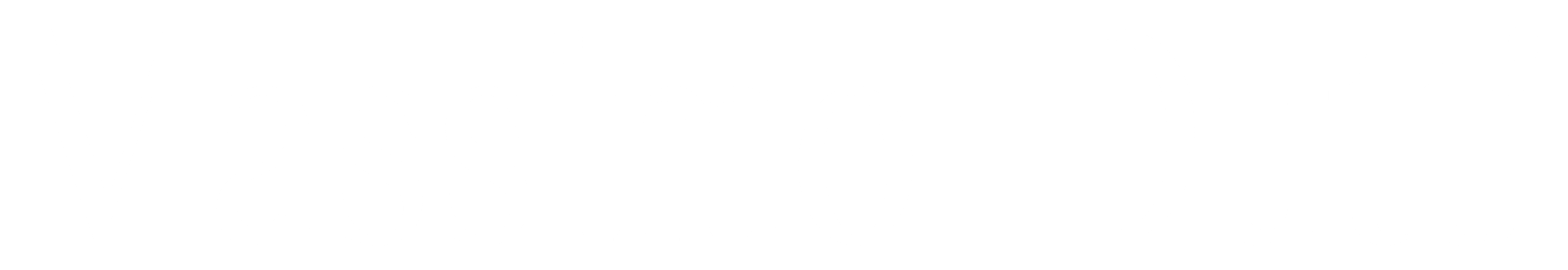 Massimo Dutti Type Logo
